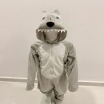 Wolf Costume for Kids